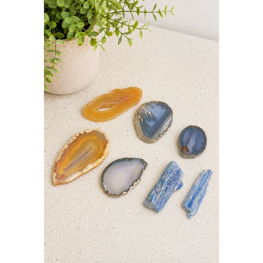Mixed Agate Slice & Blue Kyanite Crystal Lapidary Jewelry Craft Mineral Specimen